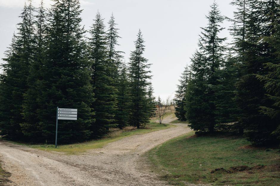 Two gravel paths splitting at a signpost, showing a choice between channels